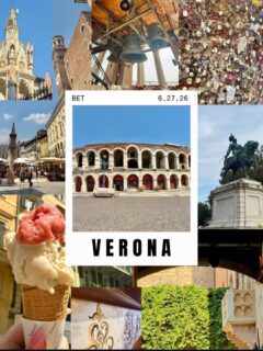 Highlights from Verona!! 

@starsoftomorrowdanceaustria 
@starsoftomorrowint