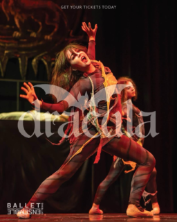 BALLET ENSEMBLE OF TEXAS PRESENTS
🦇🩸DRACULA🩸🦇

ALL-NEW CHOREOGRAPHY BY LINDSEY YOES DANIEL & WALKER MARTIN

FRIDAY, OCTOBER 30, 2026
6:00 PM — Drinks with Dracula
7:00 PM — Dracula Performance

SATURDAY, OCTOBER 31, 2026
2:00 PM — Dracula Performance
Post Performance — Trick-or-Treat with the Ensemble

COME IN COSTUME!
Join us in costume for Dracula! Best dressed wins a prize.

$50 Adults | $40 Students/Seniors
Tickets: coppellartscenter.org
972-304-7047

Photo by Abby Thurgood
#coppellchamber